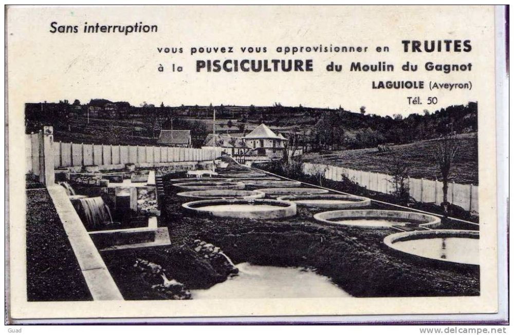 pisciculture-du-moulin-de-gagnot Laguiole